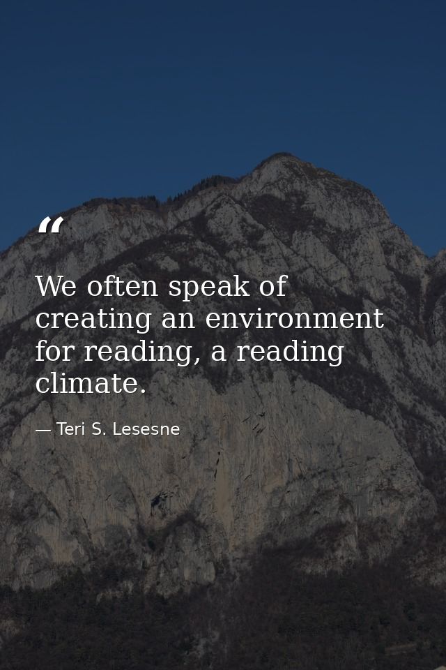 We often speak of creating an environment for reading, a reading climate. — Teri S. Lesesne