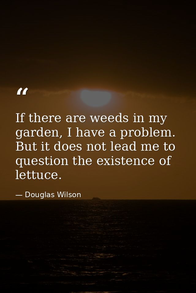 If there are weeds in my garden, I have a problem. But it does not lead me to question the existence of lettuce. — Douglas Wilson