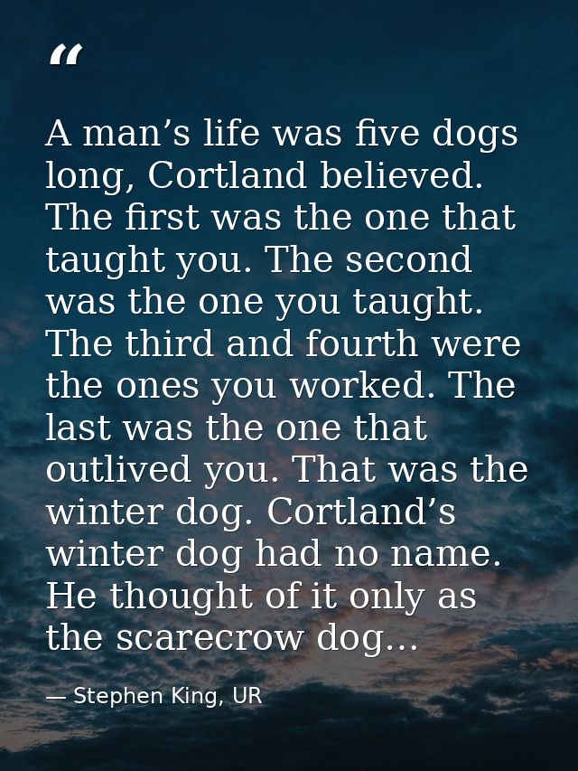 A man’s life was five dogs long, Cortland believed. The first was the one that taught you. The second was the one you ta — Stephen King, UR