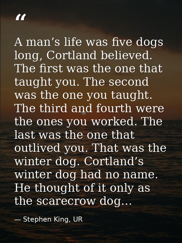 A man’s life was five dogs long, Cortland believed. The first was the one that taught you. The second was the one you ta — Stephen King, UR