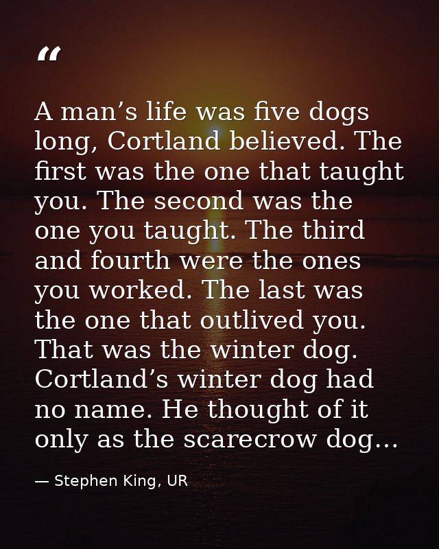 A man’s life was five dogs long, Cortland believed. The first was the one that taught you. The second was the one you ta — Stephen King, UR