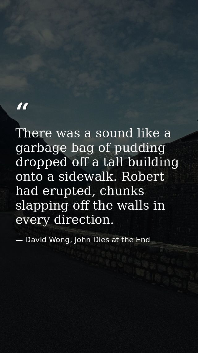 There was a sound like a garbage bag of pudding dropped off a tall building onto a sidewalk. Robert had erupted, chunks  — David Wong, John Dies at the End
