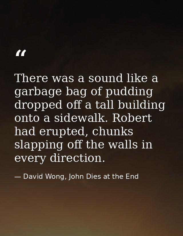 There was a sound like a garbage bag of pudding dropped off a tall building onto a sidewalk. Robert had erupted, chunks  — David Wong, John Dies at the End