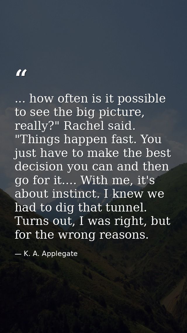 ... how often is it possible to see the big picture, really?" Rachel said. "Things happen fast. You just have to make th — K. A. Applegate