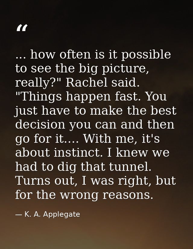 ... how often is it possible to see the big picture, really?" Rachel said. "Things happen fast. You just have to make th — K. A. Applegate