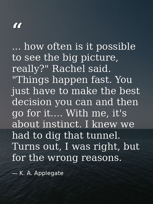 ... how often is it possible to see the big picture, really?" Rachel said. "Things happen fast. You just have to make th — K. A. Applegate