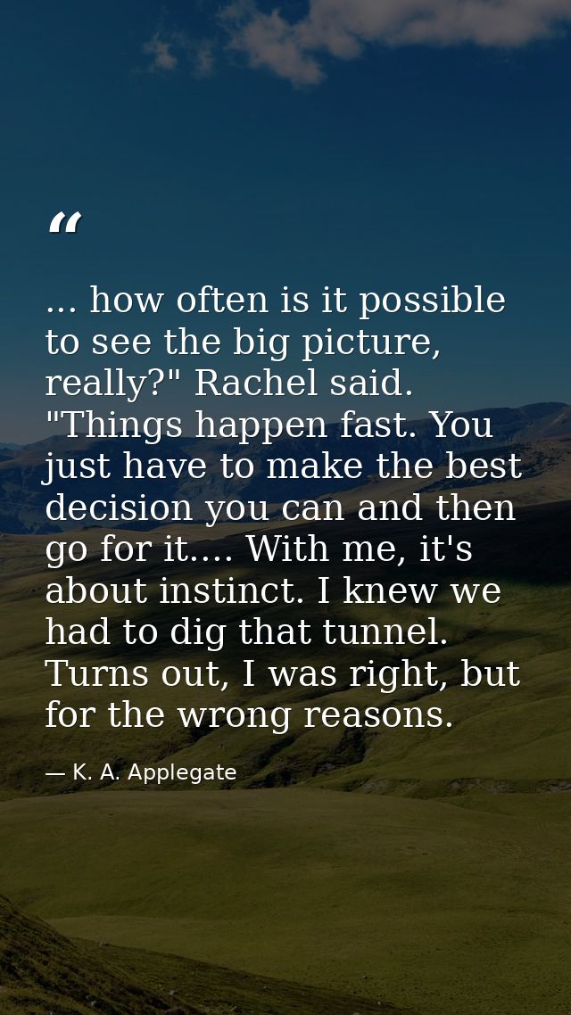 ... how often is it possible to see the big picture, really?" Rachel said. "Things happen fast. You just have to make th — K. A. Applegate