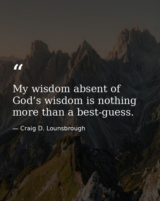 My wisdom absent of God’s wisdom is nothing more than a best-guess. — Craig D. Lounsbrough