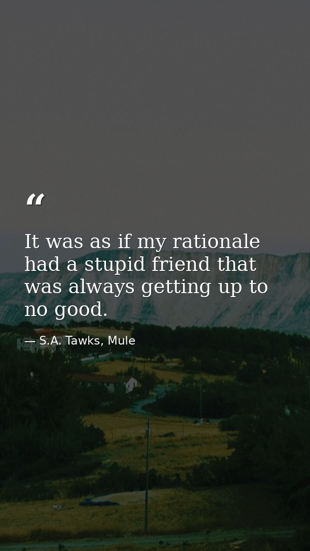 It was as if my rationale had a stupid friend that was always getting up to no good. — S.A. Tawks, Mule