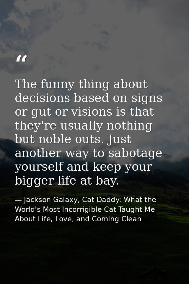 The funny thing about decisions based on signs or gut or visions is that they're usually nothing but noble outs. Just an — Jackson Galaxy, Cat Daddy: What the World's Most Incorrigible Cat Taught Me About Life, Love, and Coming Clean
