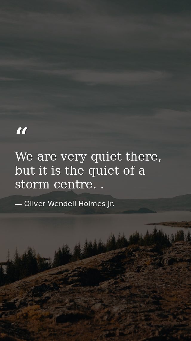 We are very quiet there, but it is the quiet of a storm centre. . — Oliver Wendell Holmes Jr.