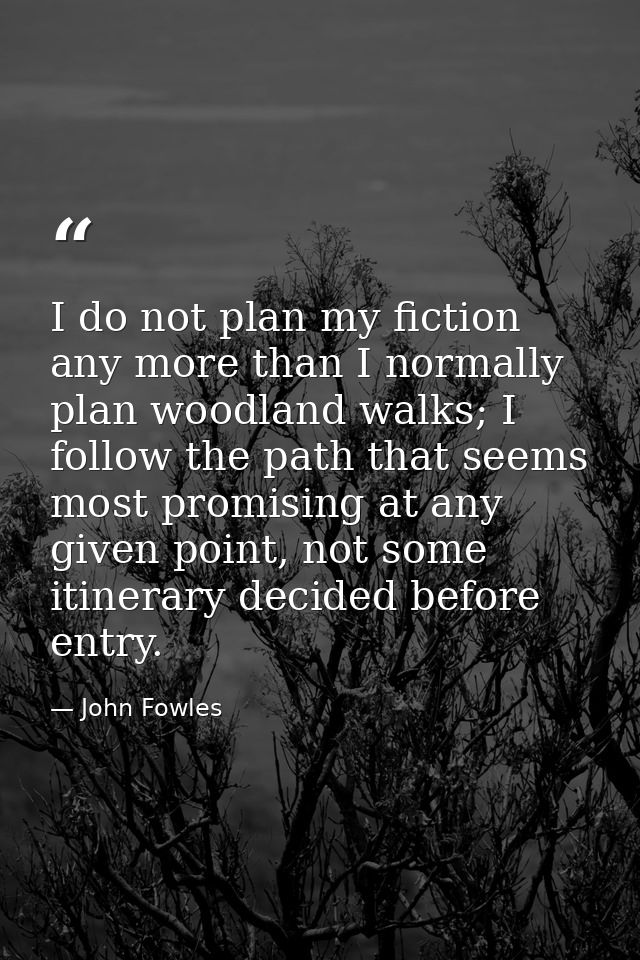 I do not plan my fiction any more than I normally plan woodland walks; I follow the path that seems most promising at an — John Fowles
