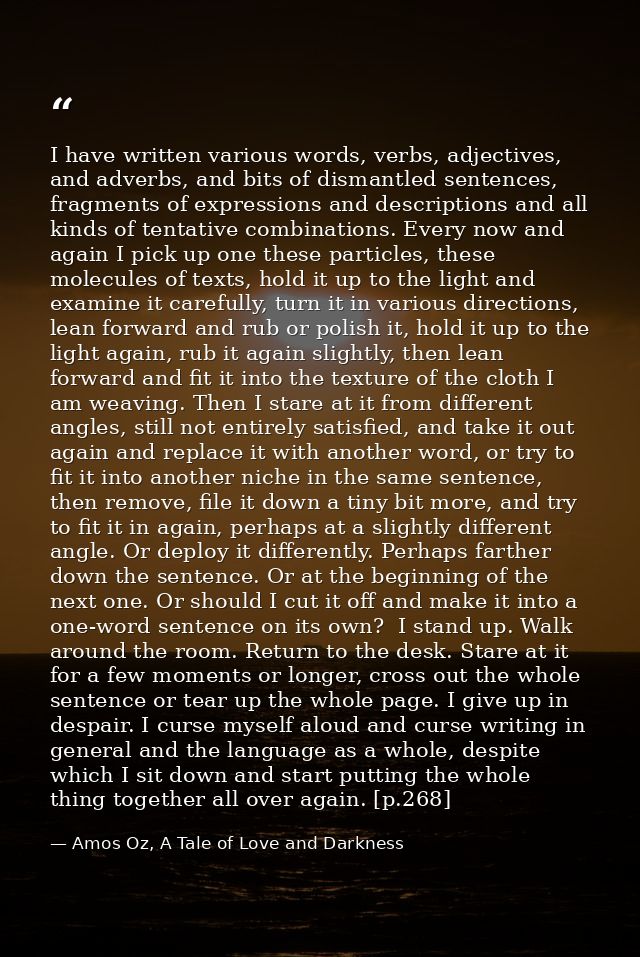 I have written various words, verbs, adjectives, and adverbs, and bits of dismantled sentences, fragments of expressions — Amos Oz, A Tale of Love and Darkness