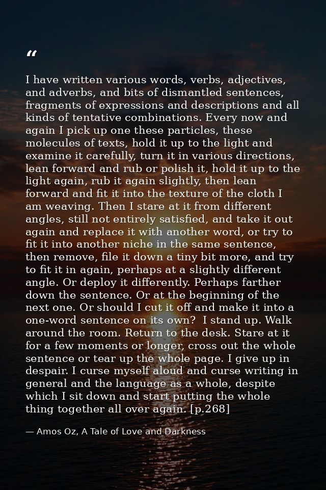 I have written various words, verbs, adjectives, and adverbs, and bits of dismantled sentences, fragments of expressions — Amos Oz, A Tale of Love and Darkness