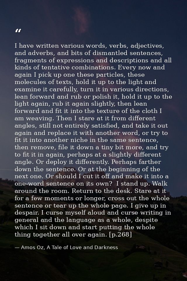 I have written various words, verbs, adjectives, and adverbs, and bits of dismantled sentences, fragments of expressions — Amos Oz, A Tale of Love and Darkness