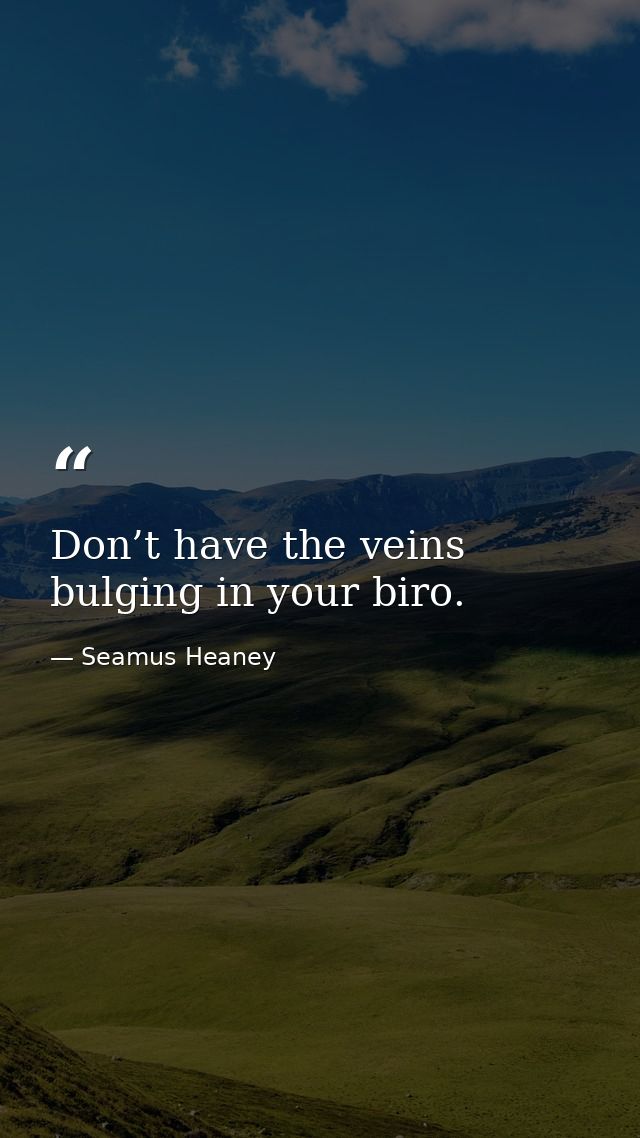 Don’t have the veins bulging in your biro. — Seamus Heaney