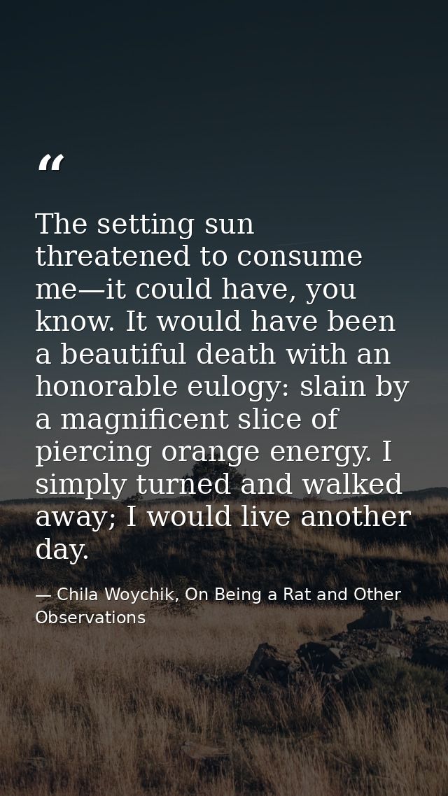 The setting sun threatened to consume me—it could have, you know. It would have been a beautiful death with an honorable — Chila Woychik, On Being a Rat and Other Observations