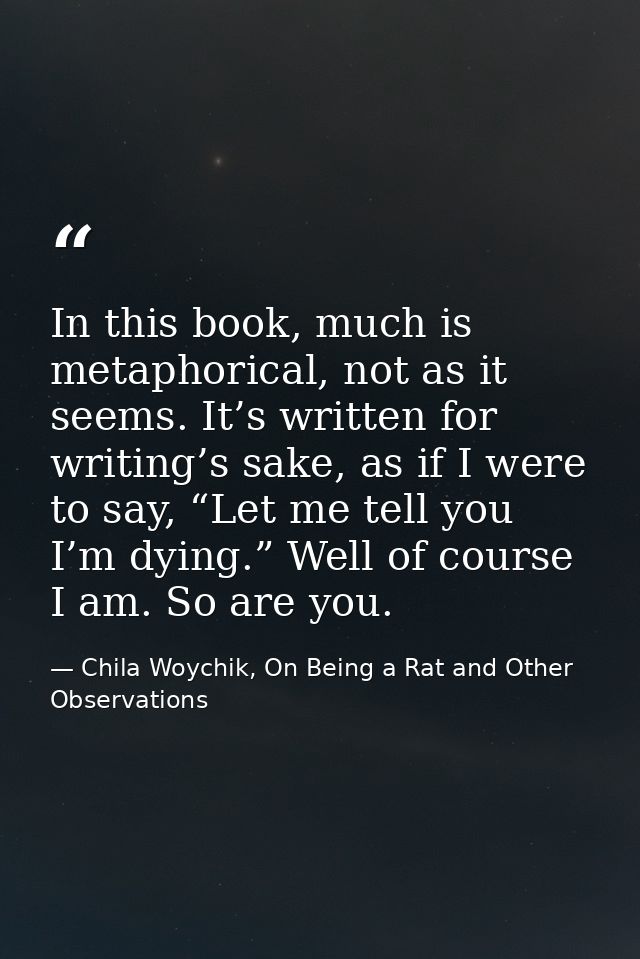 In this book, much is metaphorical, not as it seems. It’s written for writing’s sake, as if I were to say, “Let me tell  — Chila Woychik, On Being a Rat and Other Observations