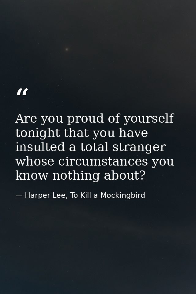 Are you proud of yourself tonight that you have insulted a total stranger whose circumstances you know nothing about? — Harper Lee, To Kill a Mockingbird