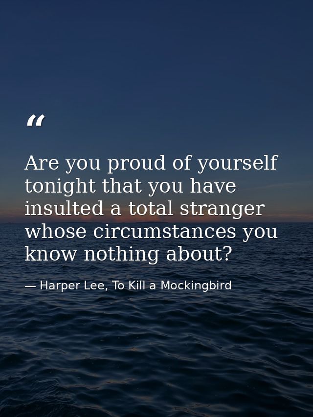 Are you proud of yourself tonight that you have insulted a total stranger whose circumstances you know nothing about? — Harper Lee, To Kill a Mockingbird