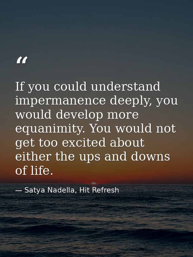 If you could understand impermanence deeply, you would develop more equanimity. You would not get too excited about eith — Satya Nadella, Hit Refresh