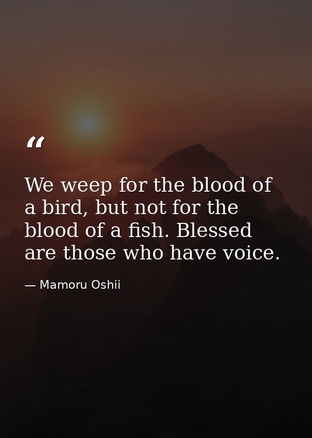 We weep for the blood of a bird, but not for the blood of a fish. Blessed are those who have voice. — Mamoru Oshii