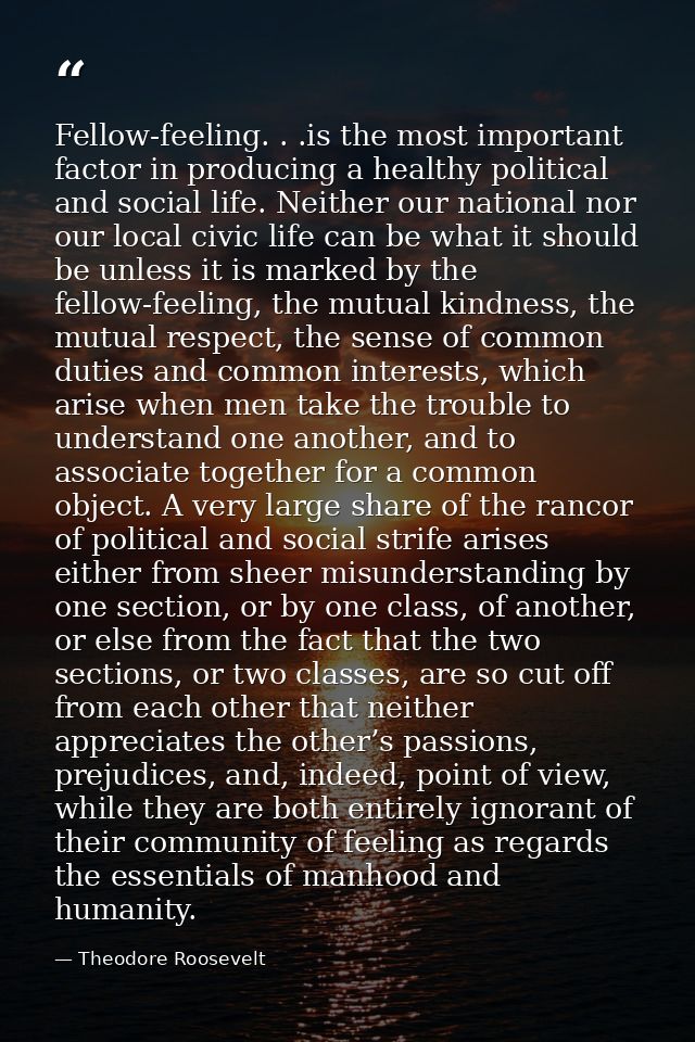 Fellow-feeling. . .is the most important factor in producing a healthy political and social life. Neither our national n — Theodore Roosevelt