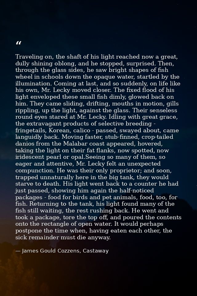 Traveling on, the shaft of his light reached now a great, dully shining oblong, and he stopped, surprised. Then, through — James Gould Cozzens, Castaway