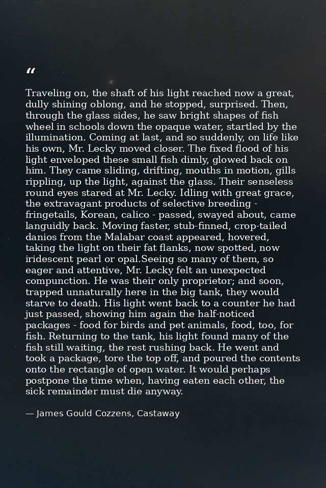 Traveling on, the shaft of his light reached now a great, dully shining oblong, and he stopped, surprised. Then, through — James Gould Cozzens, Castaway
