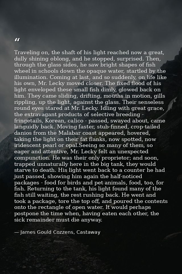 Traveling on, the shaft of his light reached now a great, dully shining oblong, and he stopped, surprised. Then, through — James Gould Cozzens, Castaway