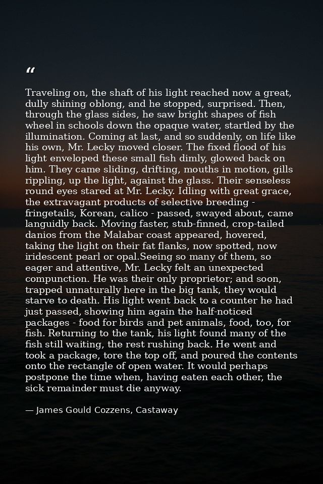 Traveling on, the shaft of his light reached now a great, dully shining oblong, and he stopped, surprised. Then, through — James Gould Cozzens, Castaway
