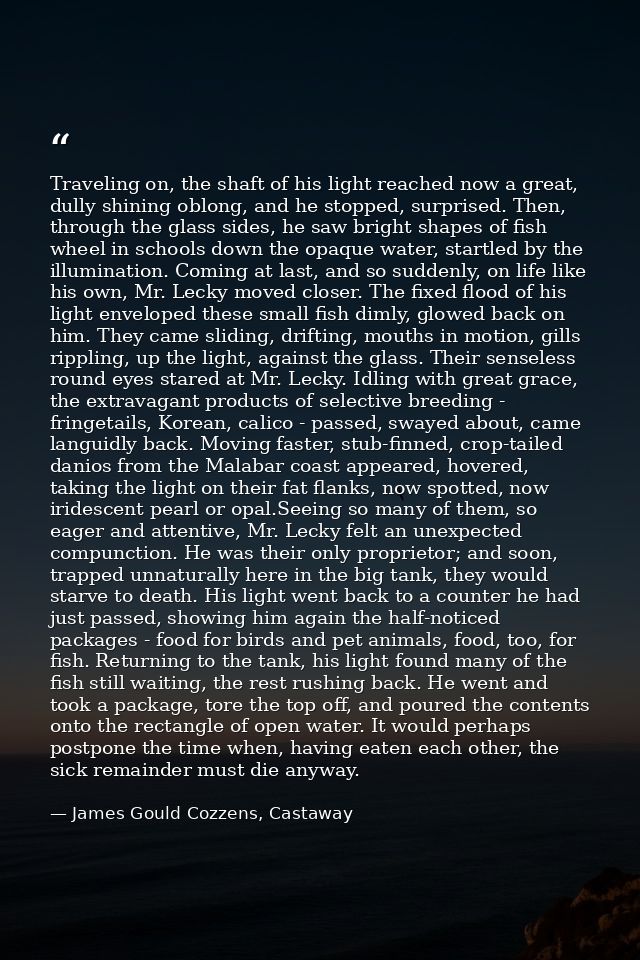 Traveling on, the shaft of his light reached now a great, dully shining oblong, and he stopped, surprised. Then, through — James Gould Cozzens, Castaway