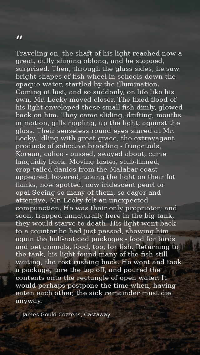 Traveling on, the shaft of his light reached now a great, dully shining oblong, and he stopped, surprised. Then, through — James Gould Cozzens, Castaway