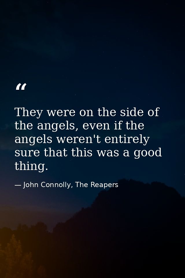 They were on the side of the angels, even if the angels weren't entirely sure that this was a good thing. — John Connolly, The Reapers