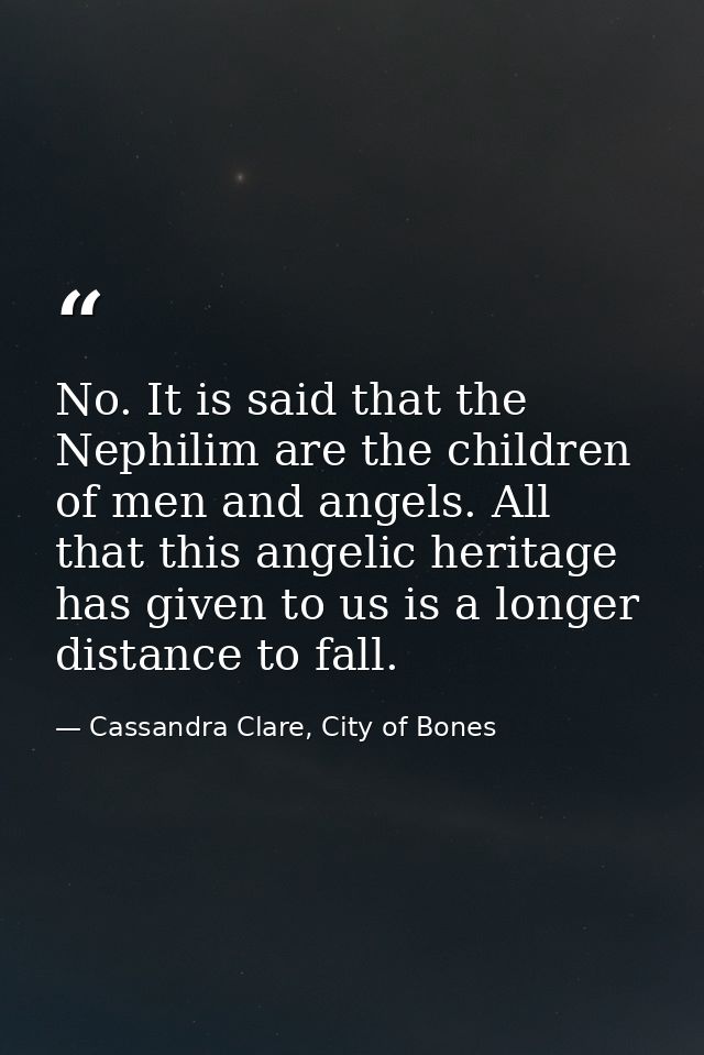 No. It is said that the Nephilim are the children of men and angels. All that this angelic heritage has given to us is a — Cassandra Clare, City of Bones