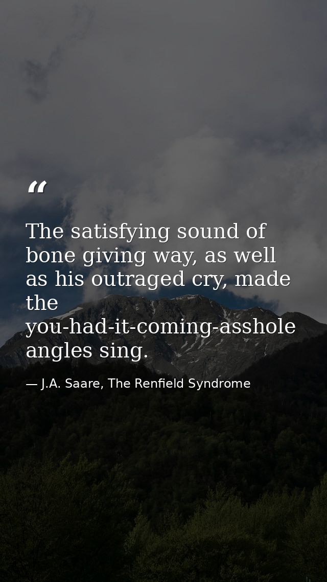 The satisfying sound of bone giving way, as well as his outraged cry, made the you-had-it-coming-asshole angles sing. — J.A. Saare, The Renfield Syndrome