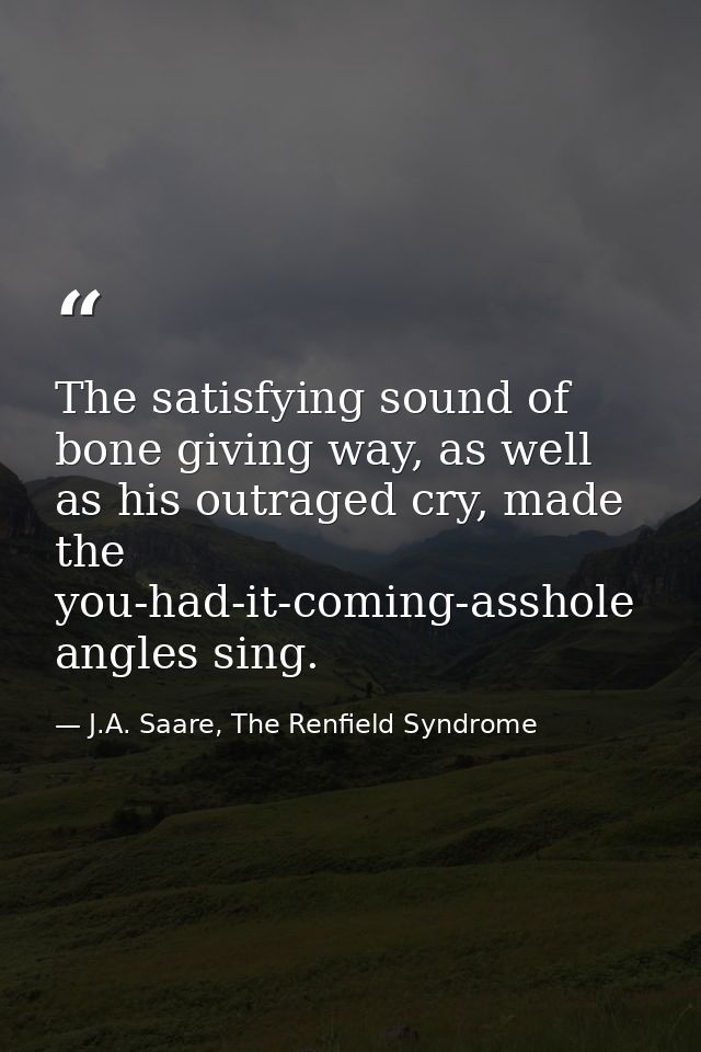 The satisfying sound of bone giving way, as well as his outraged cry, made the you-had-it-coming-asshole angles sing. — J.A. Saare, The Renfield Syndrome