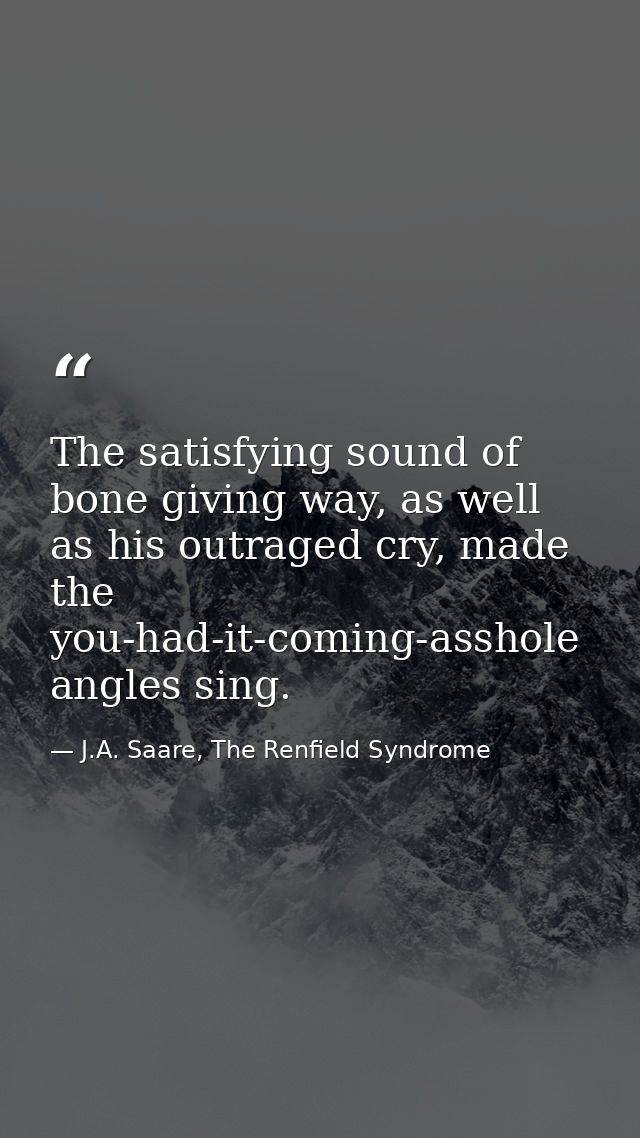 The satisfying sound of bone giving way, as well as his outraged cry, made the you-had-it-coming-asshole angles sing. — J.A. Saare, The Renfield Syndrome