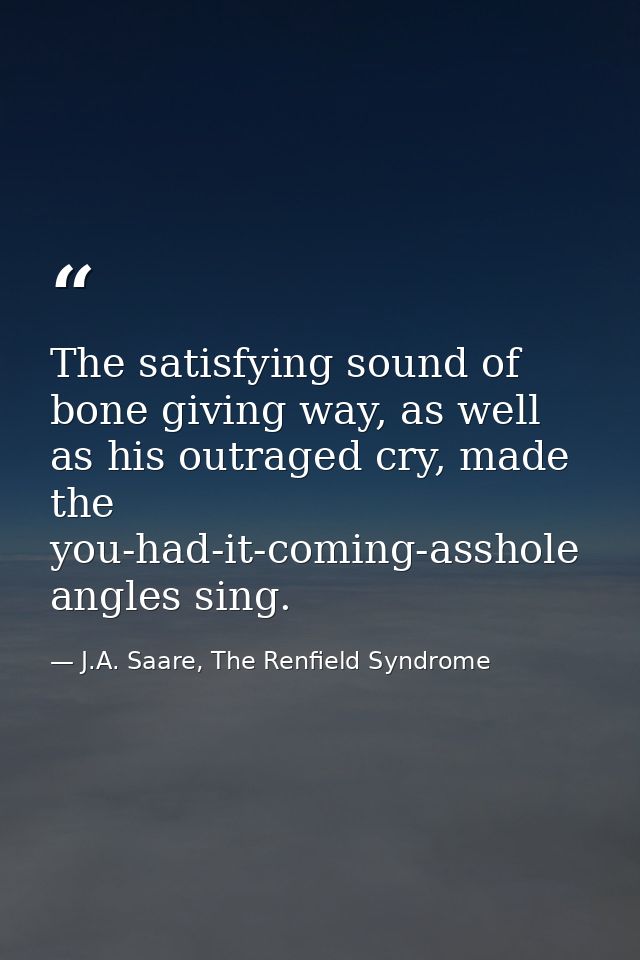 The satisfying sound of bone giving way, as well as his outraged cry, made the you-had-it-coming-asshole angles sing. — J.A. Saare, The Renfield Syndrome