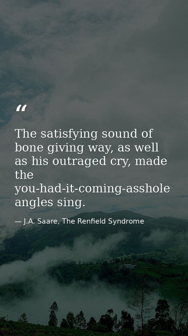The satisfying sound of bone giving way, as well as his outraged cry, made the you-had-it-coming-asshole angles sing. — J.A. Saare, The Renfield Syndrome