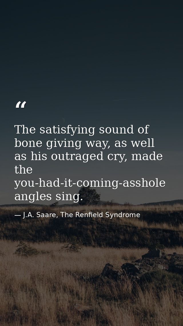 The satisfying sound of bone giving way, as well as his outraged cry, made the you-had-it-coming-asshole angles sing. — J.A. Saare, The Renfield Syndrome