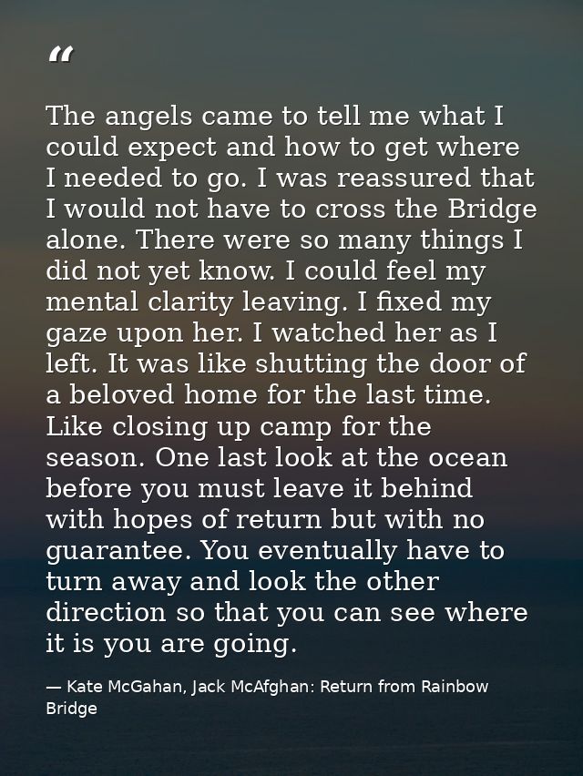 The angels came to tell me what I could expect and how to get where I needed to go. I was reassured that I would not hav — Kate McGahan, Jack McAfghan: Return from Rainbow Bridge
