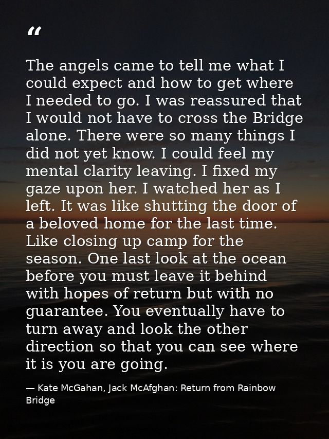 The angels came to tell me what I could expect and how to get where I needed to go. I was reassured that I would not hav — Kate McGahan, Jack McAfghan: Return from Rainbow Bridge