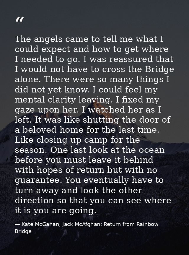 The angels came to tell me what I could expect and how to get where I needed to go. I was reassured that I would not hav — Kate McGahan, Jack McAfghan: Return from Rainbow Bridge