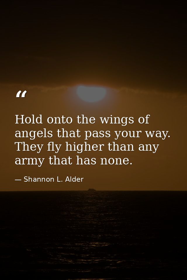 Hold onto the wings of angels that pass your way. They fly higher than any army that has none. — Shannon L. Alder