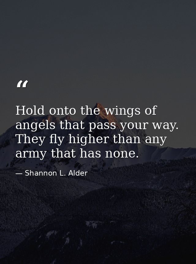 Hold onto the wings of angels that pass your way. They fly higher than any army that has none. — Shannon L. Alder