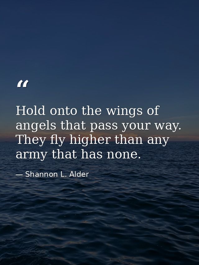 Hold onto the wings of angels that pass your way. They fly higher than any army that has none. — Shannon L. Alder