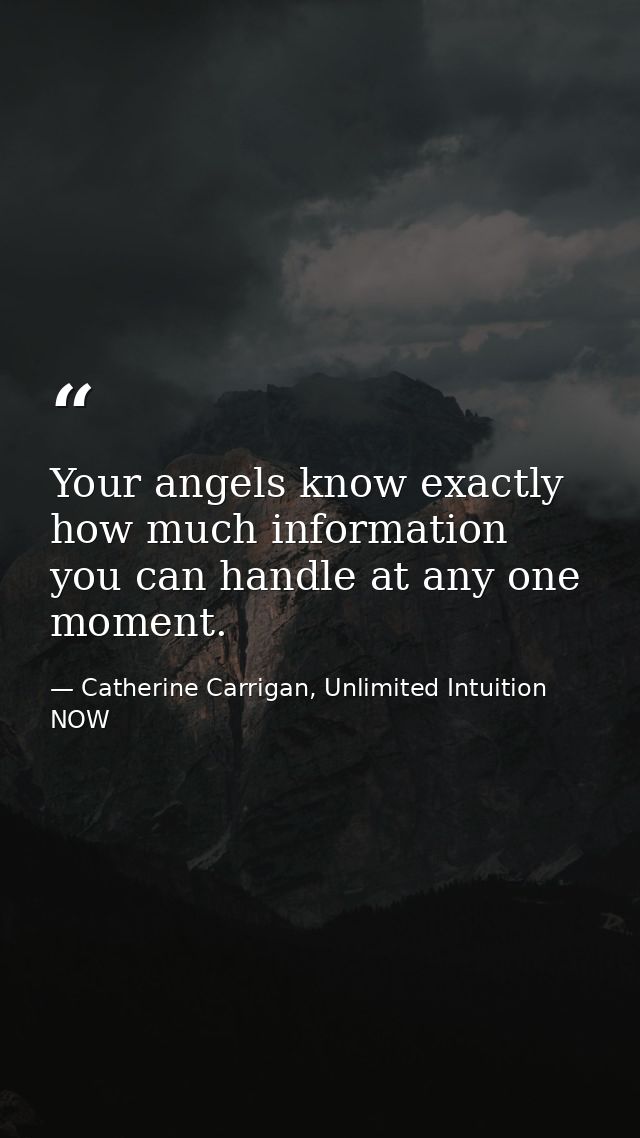 Your angels know exactly how much information you can handle at any one moment. — Catherine Carrigan, Unlimited Intuition NOW