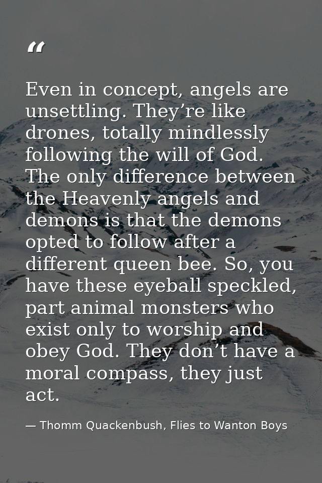 Even in concept, angels are unsettling. They’re like drones, totally mindlessly following the will of God. The only diff — Thomm Quackenbush, Flies to Wanton Boys