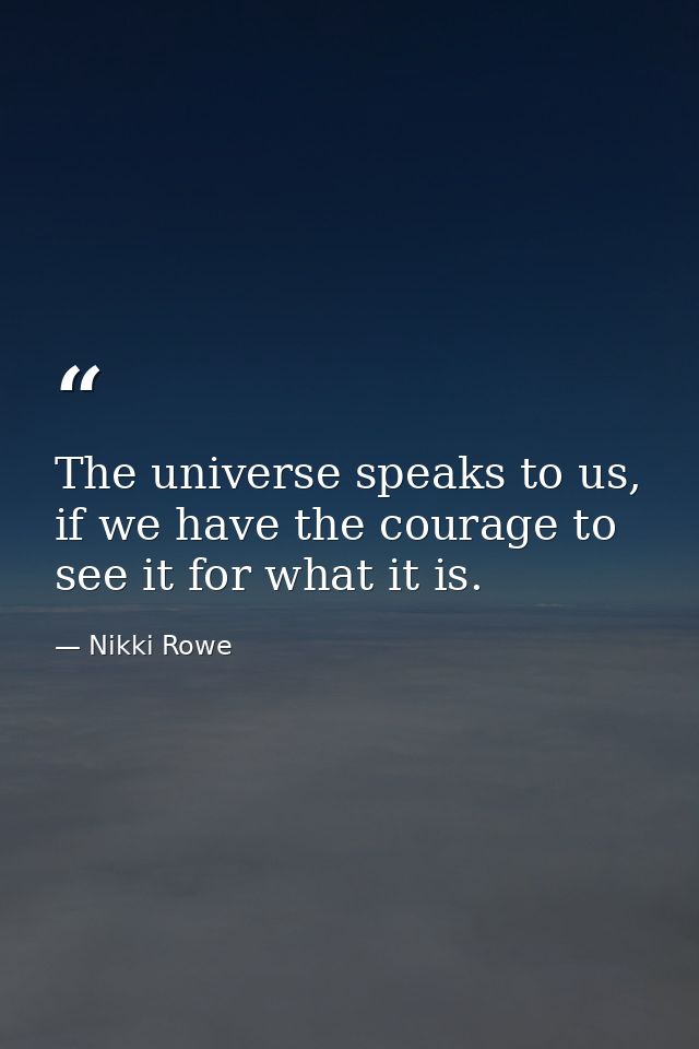 The universe speaks to us, if we have the courage to see it for what it is. — Nikki Rowe